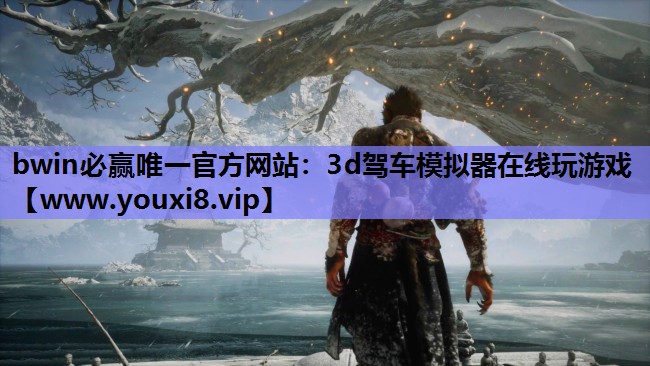 bwin必赢唯一官方网站：3d驾车模拟器在线玩游戏