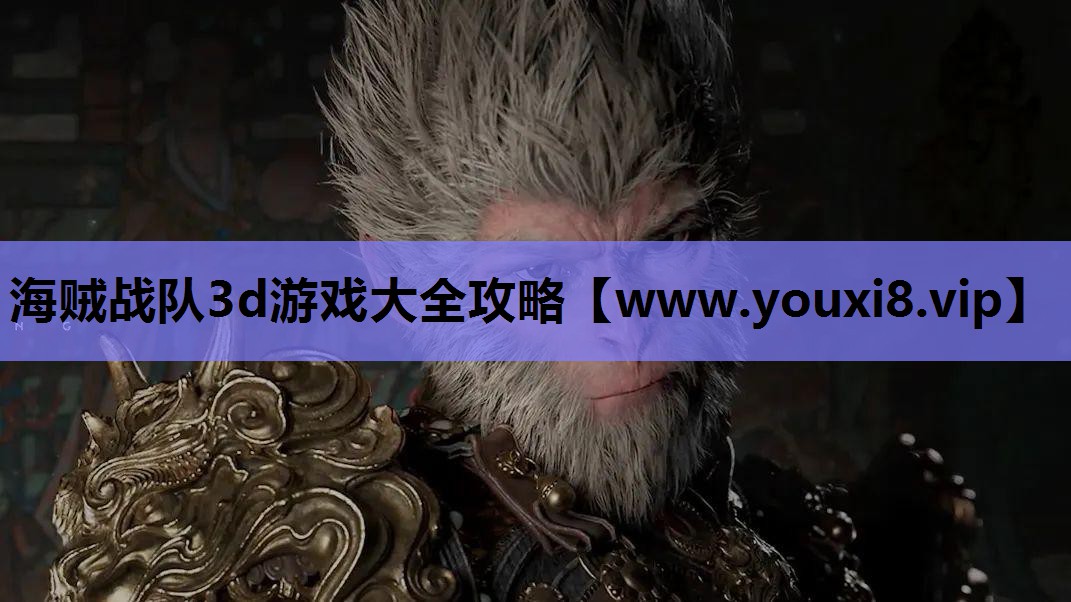 海贼战队3d游戏大全攻略