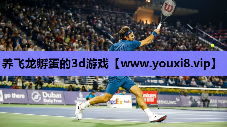 养飞龙孵蛋的3d游戏