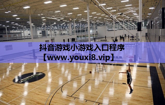 抖音游戏小游戏入口程序