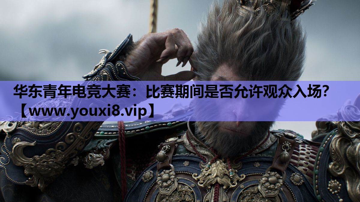 华东青年电竞大赛：比赛期间是否允许观众入场？