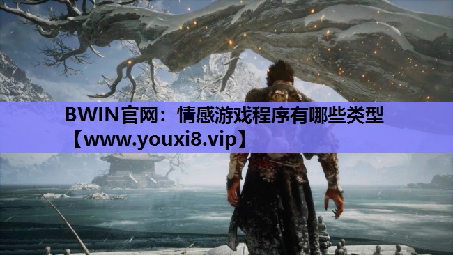 情感游戏程序有哪些类型