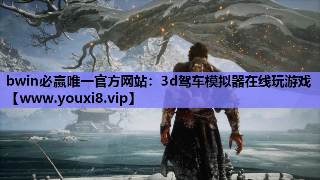 3d驾车模拟器在线玩游戏